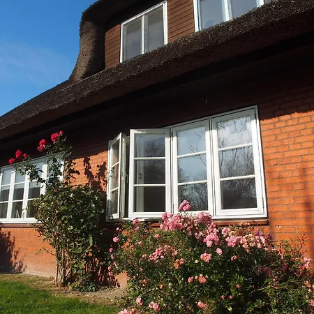 Apartmán Austernfischer